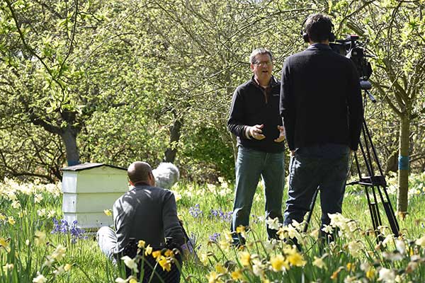 filming in progress in the gardens