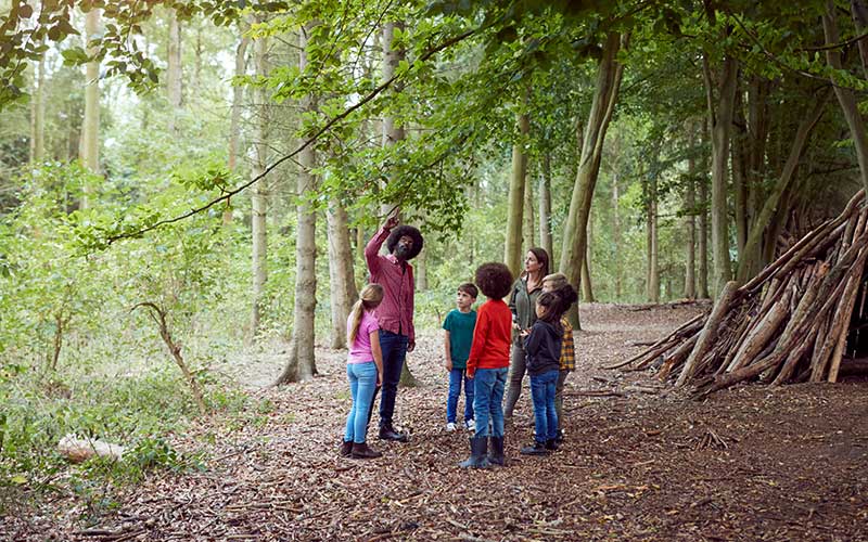 a tutor teaching in the woods with another tutor and some keenly listening children