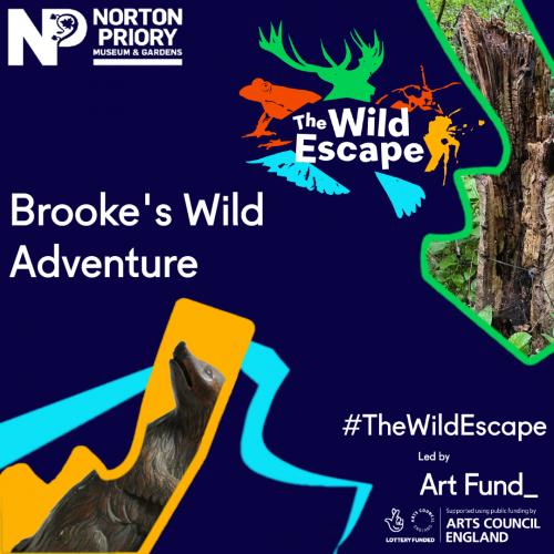 Brooke's Wild Adventure!