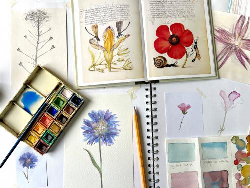 Blooming Botanicals - Drawing Workshop for Beginners