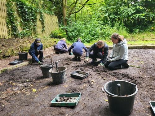 Family Discovery Dig