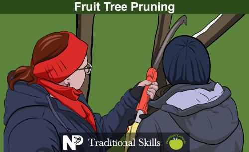 Winter Fruit Tree Pruning