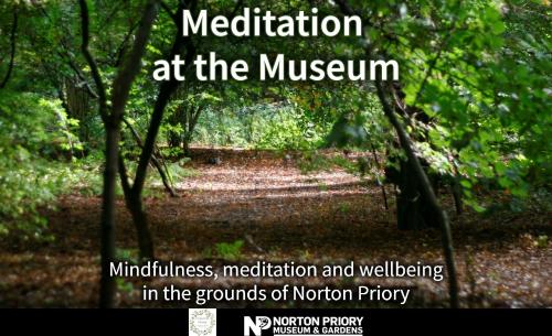 Meditation at the Museum