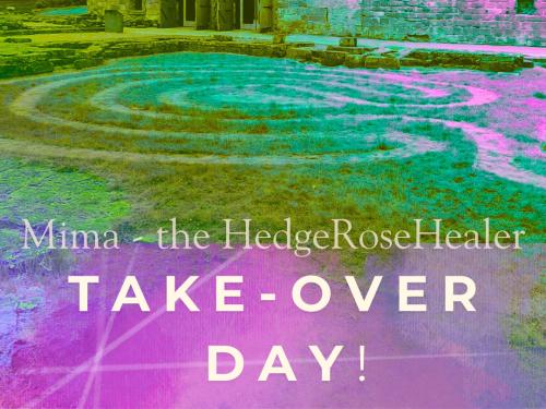 HedgeRose Healing Takeover Day!