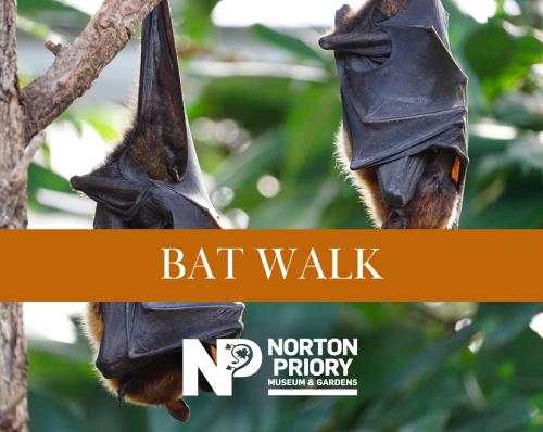 Bat Walks at Norton Priory