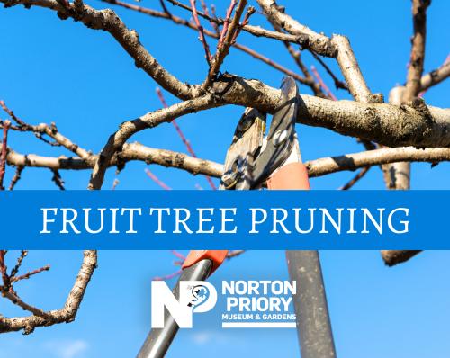 Fruit Tree Pruning Workshop