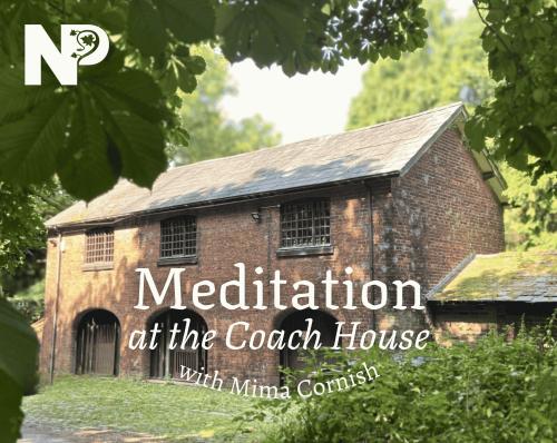 Meditation at the Coach House