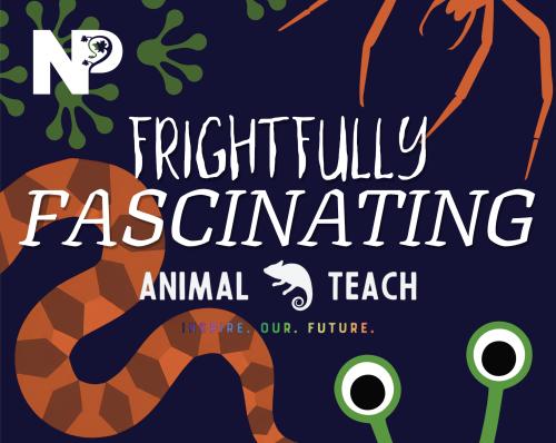 Frightfully Fascinating Workshop with Animal Teach